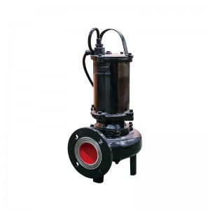 Manufactur standard Head 200 Submersible Turbine Pump - Submersible Sewage Pump – Liancheng