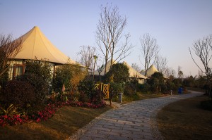 Wild Traveling Luxury Resort Tent