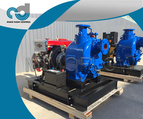 2020 NEW BORN! 2SETS SELF PRIMING WATER PUMPS WITH DIESEL ENGINE FINISHED! CONGRATULATIONS!