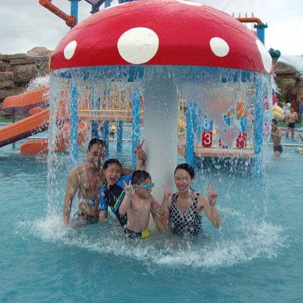 Factory Price For
 Splash Park Used Fiber Glass Kid Amusement Water Mushroom to Curacao Factory