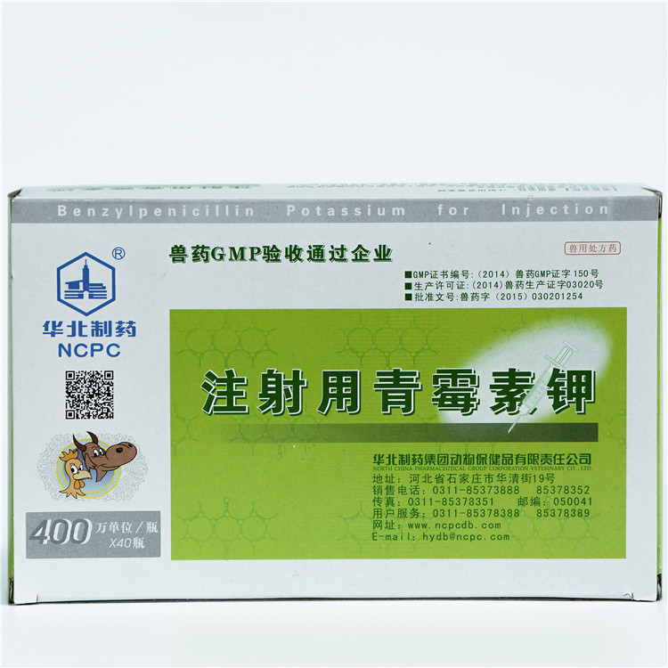 2017 wholesale price Mastitis Treatment -
 Penicillin Potassium for Injection – North China Pharmaceutical