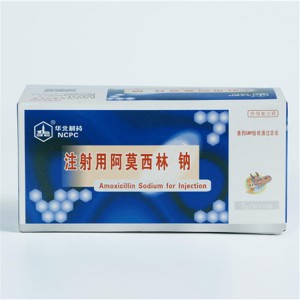 OEM China 20% Amoxicillin Soluble Powder -
 Amoxicillin Sodium for Injection – North China Pharmaceutical