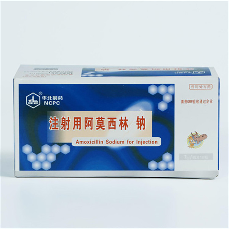 Low MOQ for 10% Amoxicillin Soluble Powder -
 Amoxicillin Sodium for Injection – North China Pharmaceutical