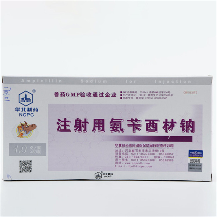 18 Years Factory Veterianry Medicine -
 Ampicillin Sodium for Injection – North China Pharmaceutical