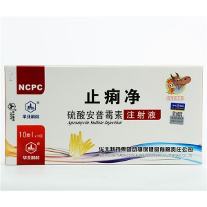 Good Wholesale Vendors Antibiotic Powder Enhance Immunity -
 10% Apramycin Sulfate injection – North China Pharmaceutical