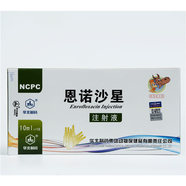 Factory Outlets Respiratory Diseases Treatment -
 2.5% Enrofloxacin Injection – North China Pharmaceutical