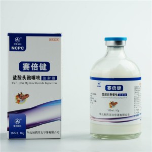 ceftiofur hydrochloride injection