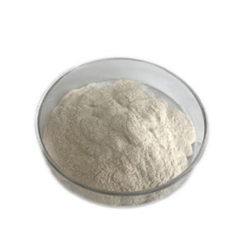 Maltase – break down disaccharide maltose into monosaccharides (malt sugars).