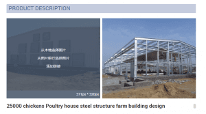 25000 chickens Poultry house steel structure farm building design