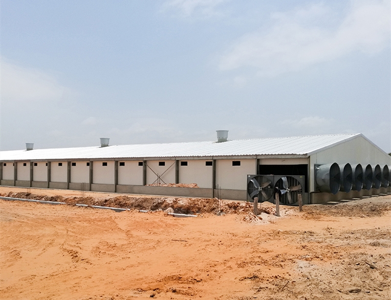 Prefabricated Galvanized Steel Structure Chicken House in Africa from China