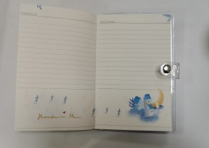 Journal with PVC cover 5