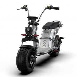 citycoco scooter echopper Rooder larsky 4000w