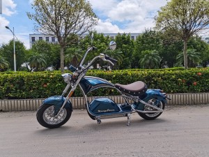 m1ps electric scooter Rooder magosteen chopper