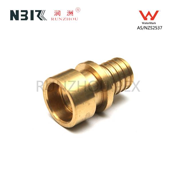 Top Suppliers Mirror Stainless Steel Press Fitting -
 Connecting Bar Female – RZPEX