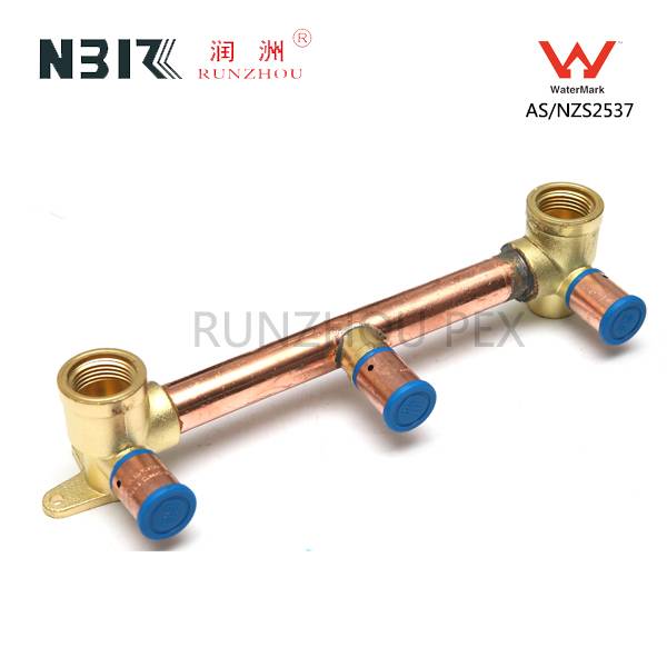 China OEM Npt Brass Fitting -
 Shower Assembly R-A Barb UP – RZPEX