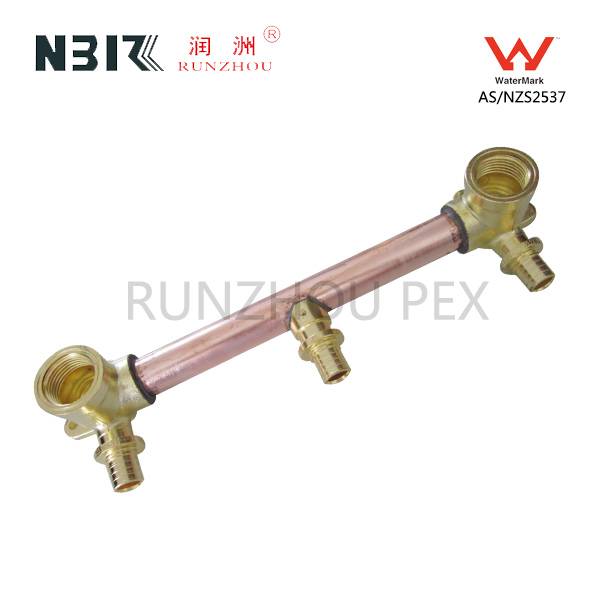 OEM China Ppr Pipe Dust Cap -
 Shower Assembly R-A Barb UP – RZPEX