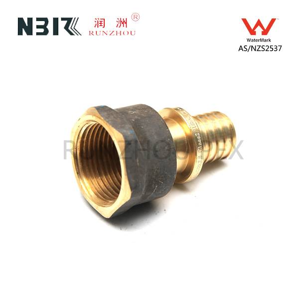 Factory Cheap Brass Compression Fittings For Pex-al-pex Pipe -
 Female Straight connector-01 – RZPEX