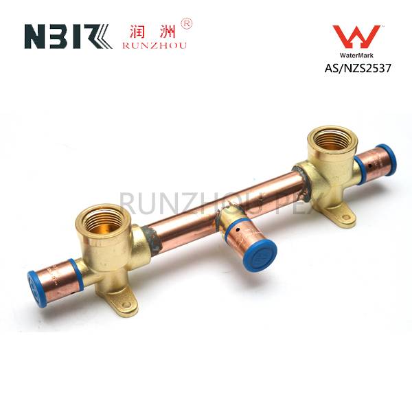 OEM/ODM Supplier Brass Reducing Pipe Fitting -
 Shower Assmebly Straight – RZPEX