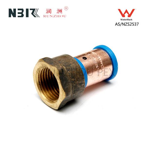 factory low price Ms Pipe Fitting -
 Female Straight connector-01 – RZPEX