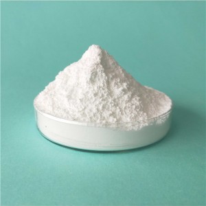 Low acid value Ethylene Bistearamide wax – Sainuo