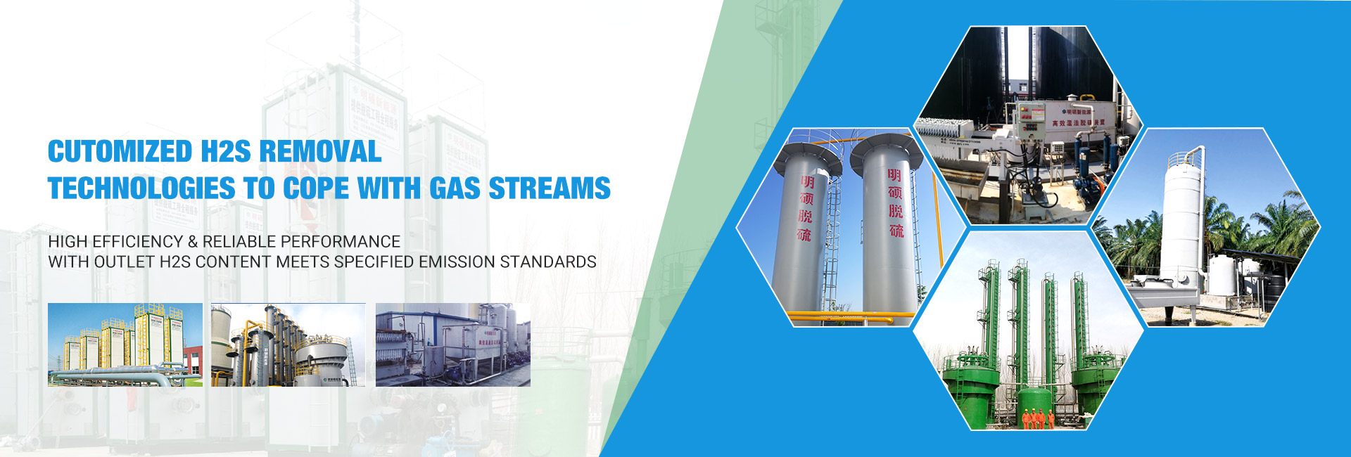 Cutomized H2S Removal Technologies to Cope with Gas Streams