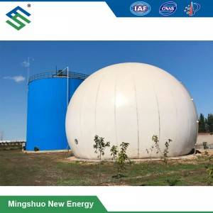 Chinese Professional Biogas Plant For Cow Farm - Double Membrane Biogas Storage Balloon – Mingshuo