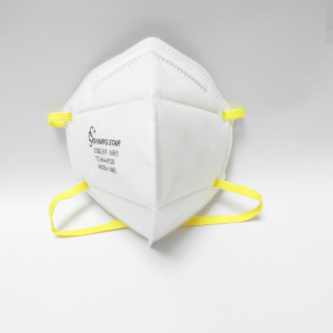 SS6001-N95 Disposable Particulate Respirator
