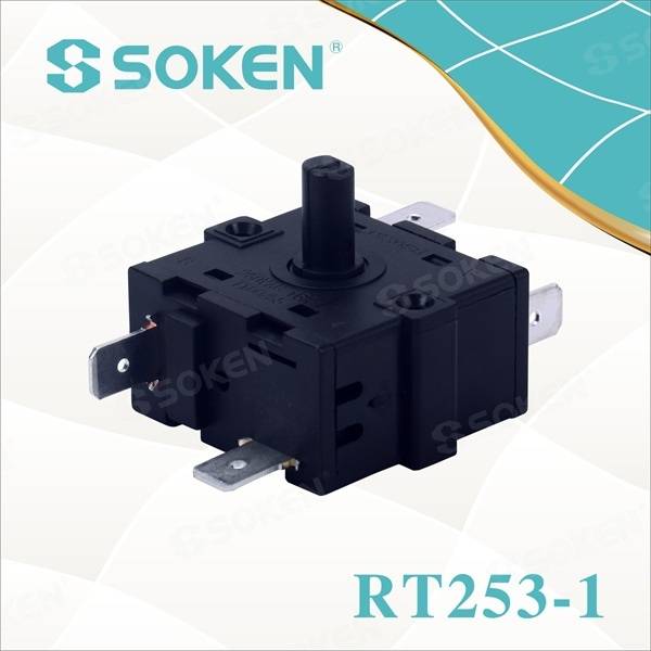 6 Position Rotary Switch for Appliances (RT253-1)