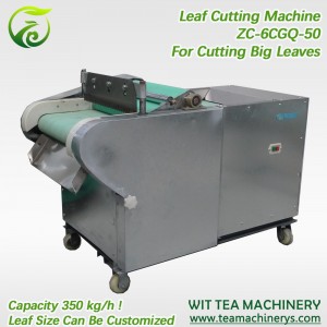 China Gold Supplier for Orthodox Tea Roller Machine - 50cm Cutting Width Leaf Cutting And Chopping Machine ZC-6GCQ-50 – Wit Tea Machinery
