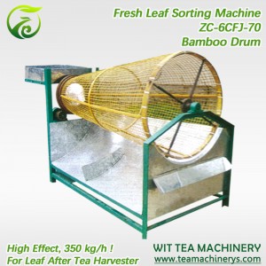Hot sale Tea Roasting Machine - Fresh Tea Leaf Grader Leaf Grading Machine ZC-6CFJ-70 – Wit Tea Machinery