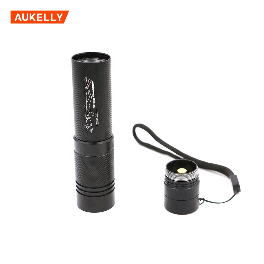 High power IP68 T6 10W Rechargeable Led Diving Flashlight Diving Lamp