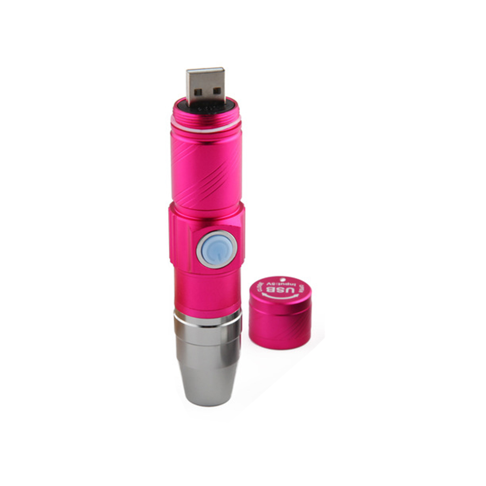 Amber detector zaklamp Pet Urine Detector Ultra Violet Torch power 365NM USB Charging Handheld Portable blacklight uv flashlight