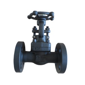 2017 wholesale price Brass Compression Fitting For Pe Pipe - API 602 Forged steel globe valve – Kingnor