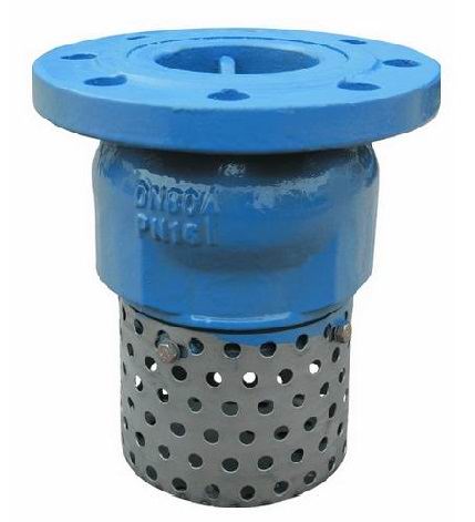 Flanged End Foot Valves-Type A