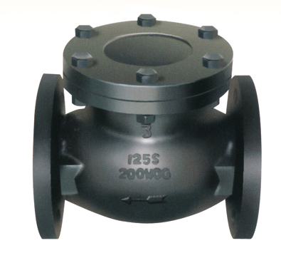 Flanged End Swing Check Valves-MSS SP-71 125LB