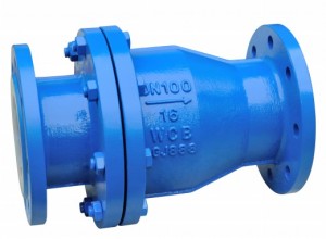 Lined Swing Type Check Valve