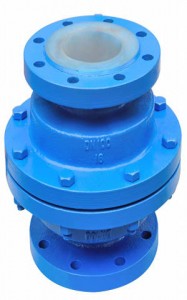 Lined Vertical Lift Check Valve