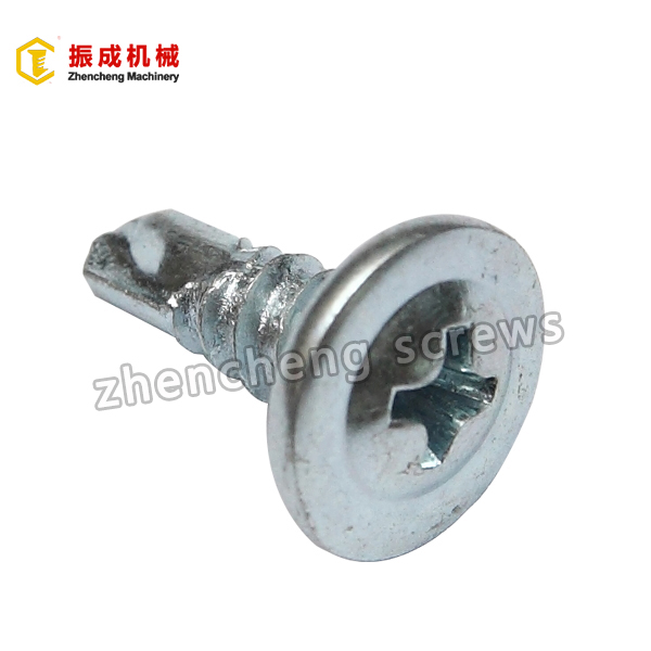 Super Purchasing for Din571 Wooden Screws - Philip Truss Head Self Tapping And Self Drilling Screw 2 – Zhencheng Machinery