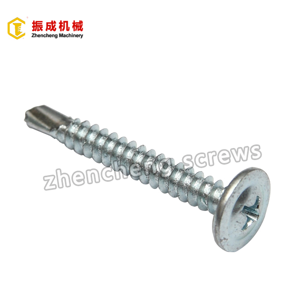 China Cheap price Wood Screws On Lag Shield - Philip Truss Head Self Tapping And Self Drilling Screw  – Zhencheng Machinery