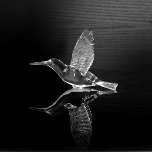Acrilico artigianato uccello