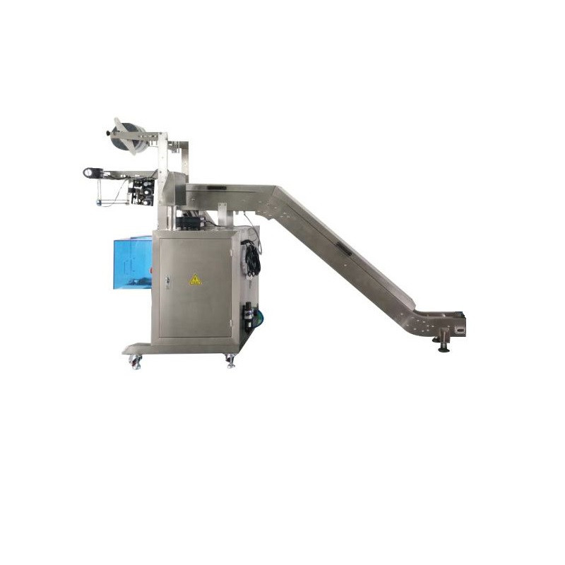 Envelop bag packing machine Featured Image
