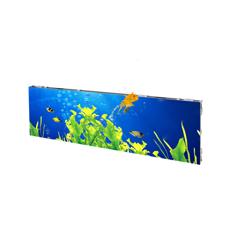 Goldfish Series – 250x250mm