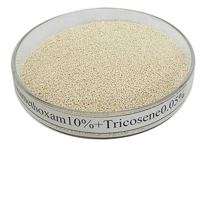 Жогорку сапаттагы thiamethoxam 10% + Z-9-tricosene 0,05% WG өлтүрүү чымын жемге CAS учуп: 153719-23-4