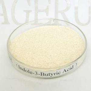 Indole-3-butyric acid 98% TC of Ageruo IBA for Rooting Hormone