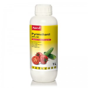 Fungicide Pyrimethanil 20% SC 40% SC 20% WP  for Tomato Botrytis desease