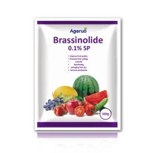 Ageruo Brassinolide 0.1% SP in Plant Growth Regulator