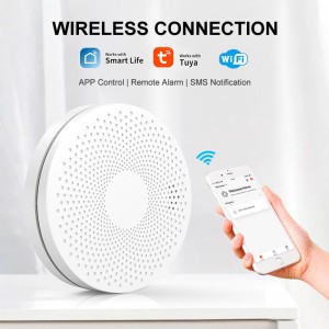 TUYA Smart Life WIFI Carbon Monoxide Smoke Detector Gas Fire Alarm 2 In 1 Sensor Home Security Protection Smart Home