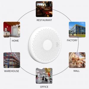 Wireless Smoke And Carbon Monoxide Detector Alarm With Home Fire Security System EN14604 EN50291