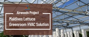 Maldives Lettuce Greenhouse HVAC Solution