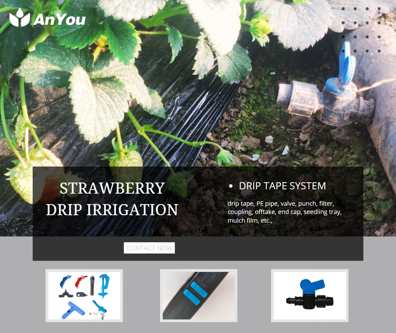 The benefits of using drip tape for strawberry cultivation